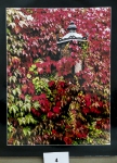 Foto_4
