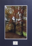 Silueta_3