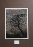 Silueta_5