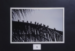 Silueta_6