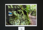 foto_13