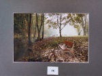 foto_14
