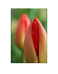 Makro_5