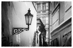 Street 2023_8