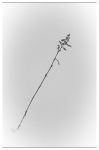 Minimalismus 2023_3