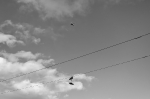 Minimalismus 2023_19