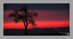 Město a krajina ve zl. hodince_20